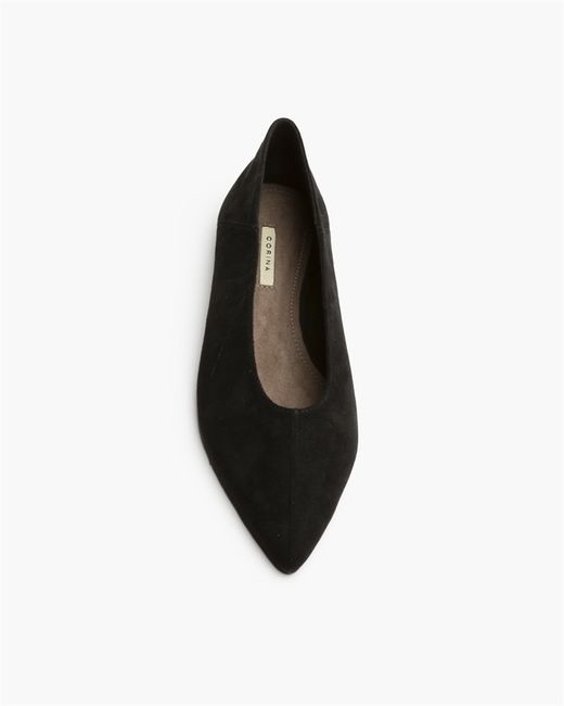 Bailarina plana,Corina,Negro