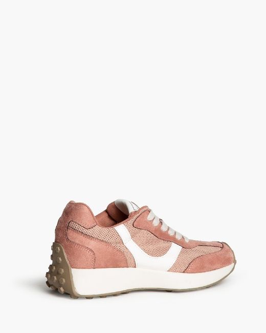 Corina Makeup Color Baskets Modèle M5105