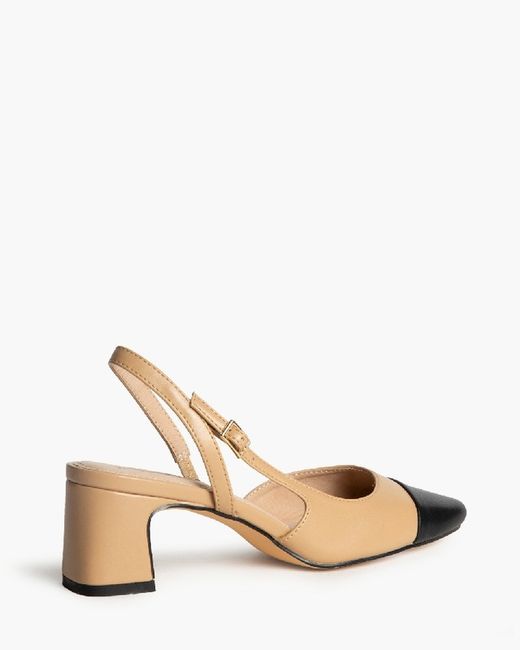 Zapato Tacón Punta Negra Corina Color Camel
