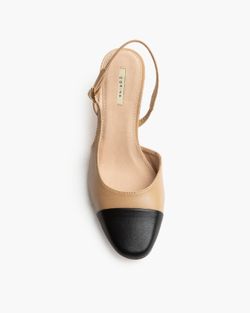Zapato Tacón Punta Negra Corina Color Camel