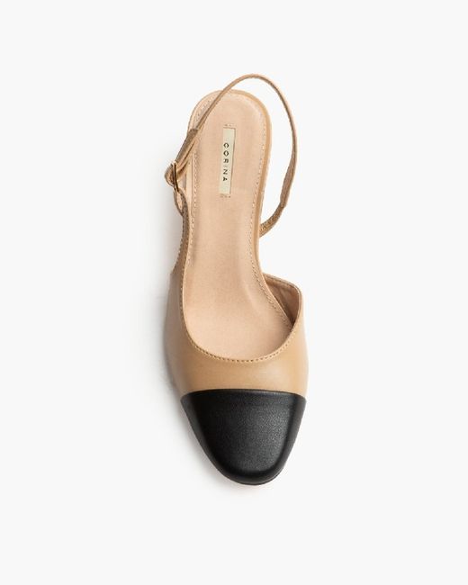 Zapato Tacón Punta Negra Corina Color Camel